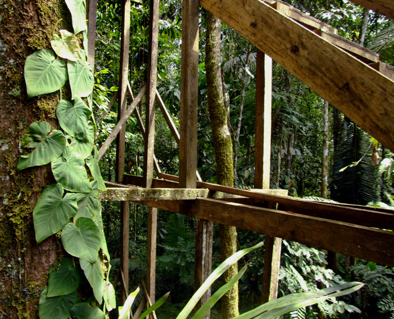 Amazonie : Challuacocha